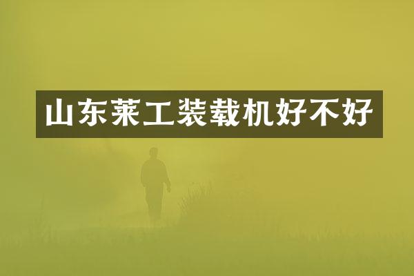山东莱工装载机好不好
