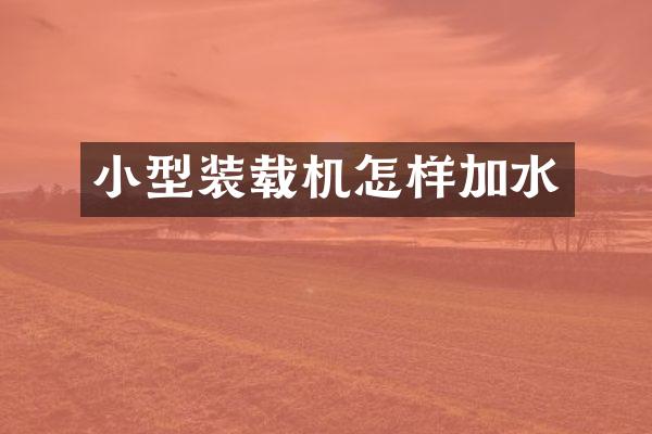 小型装载机怎样加水