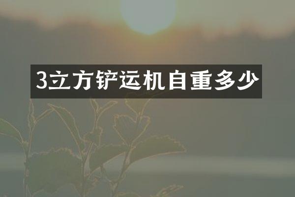 3立方铲运机自重多少