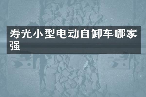 寿光小型电动自卸车哪家强