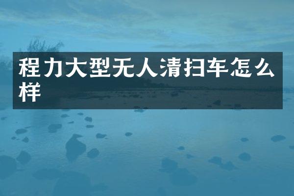 程力大型无人清扫车怎么样