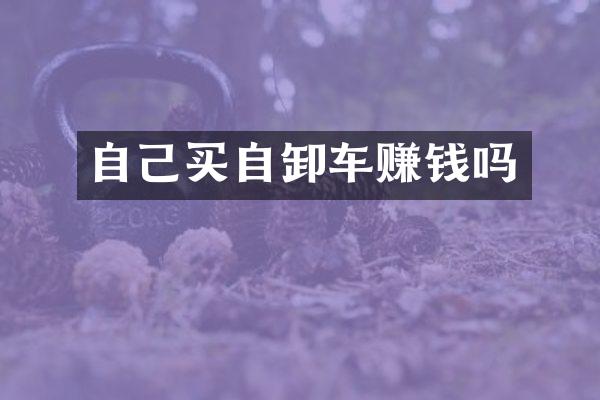 自己买自卸车赚钱吗