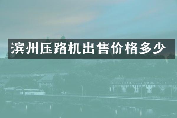 滨州压路机出售价格多少