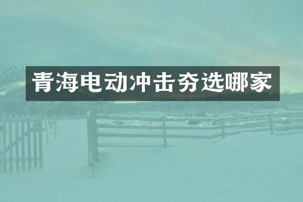 青海电动冲击夯选哪家