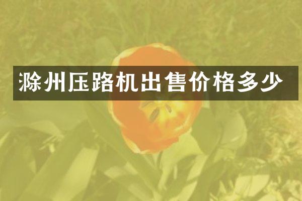 滁州压路机出售价格多少