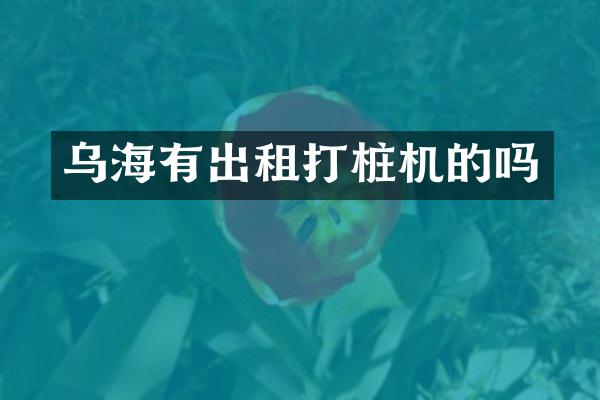 乌海有出租打桩机的吗