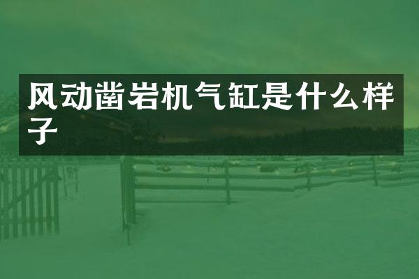 风动凿岩机气缸是什么样子