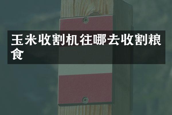 玉米收割机往哪去收割粮食