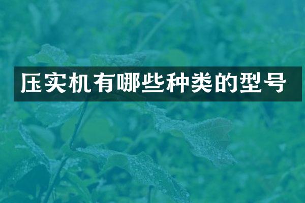 压实机有哪些种类的型号