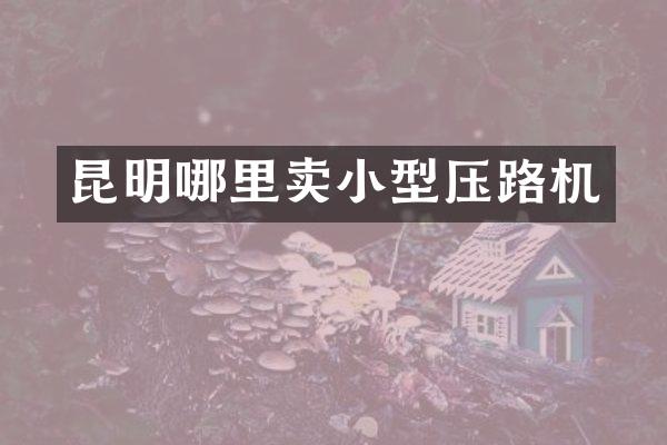 昆明哪里卖小型压路机