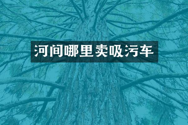 河间哪里卖吸污车