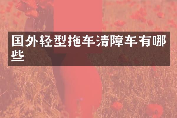 国外轻型拖车清障车有哪些