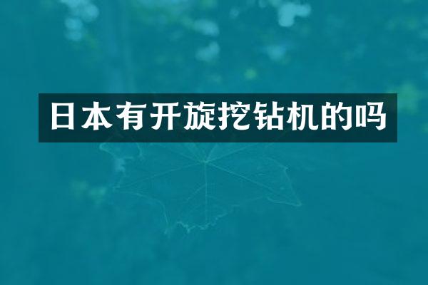 日本有开旋挖钻机的吗