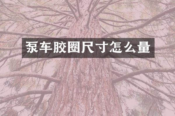 泵车胶圈尺寸怎么量