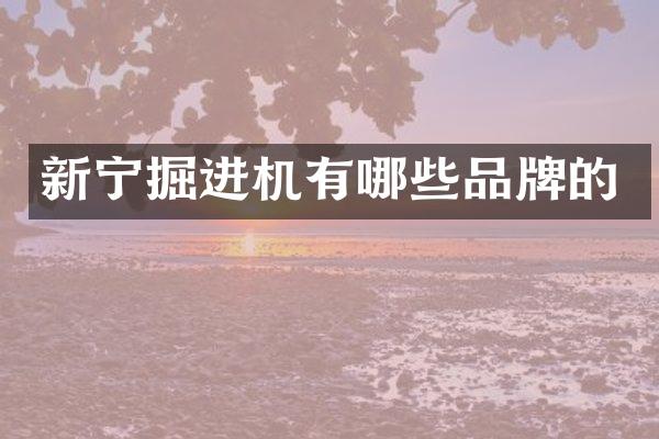 新宁掘进机有哪些品牌的