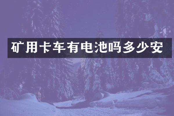 矿用卡车有电池吗多少安