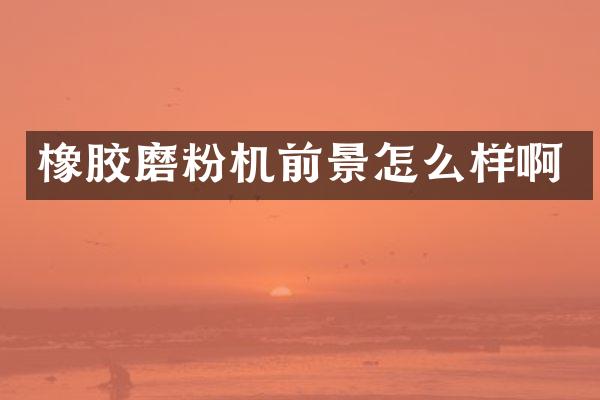 橡胶磨粉机前景怎么样啊