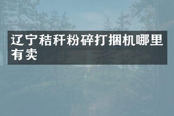 辽宁秸秆粉碎打捆机哪里有卖