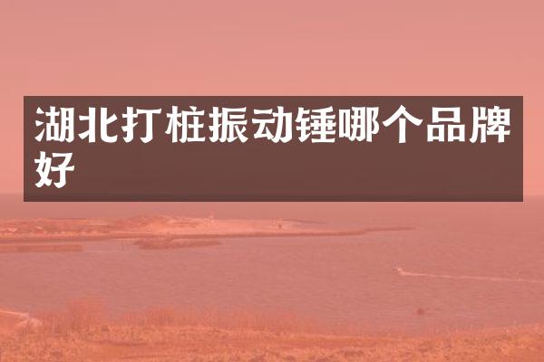 湖北打桩振动锤哪个品牌好