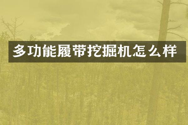 多功能履带挖掘机怎么样