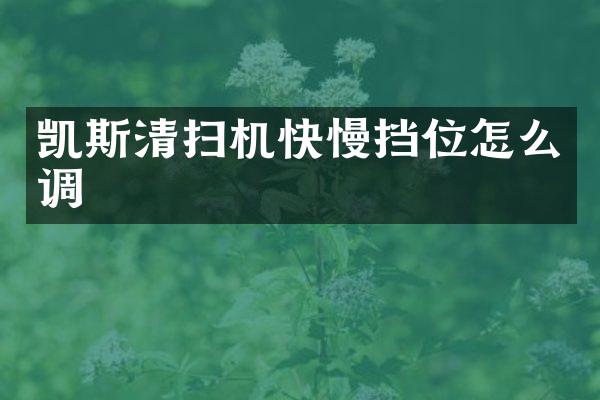 凯斯清扫机快慢挡位怎么调