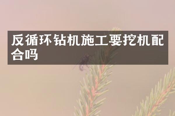 反循环钻机施工要挖机配合吗