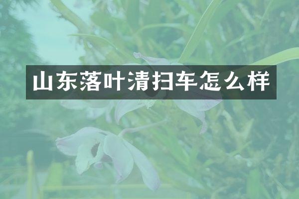山东落叶清扫车怎么样
