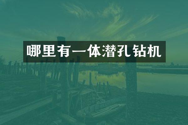 哪里有一体潜孔钻机