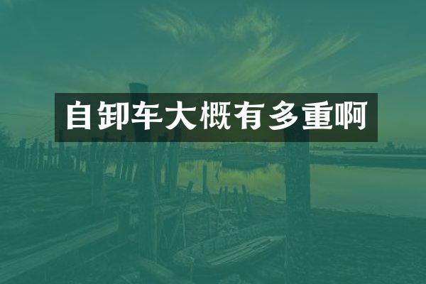 自卸车大概有多重啊