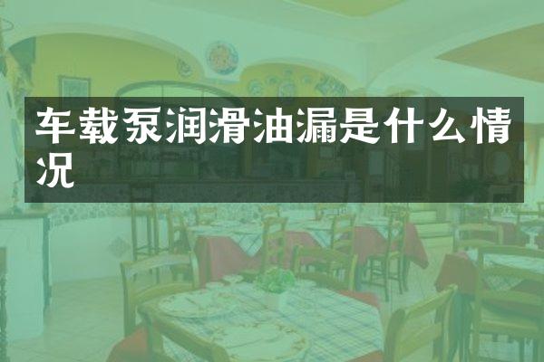 车载泵润滑油漏是什么情况