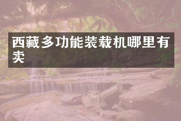 西藏多功能装载机哪里有卖