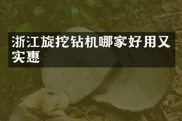 浙江旋挖钻机哪家好用又实惠