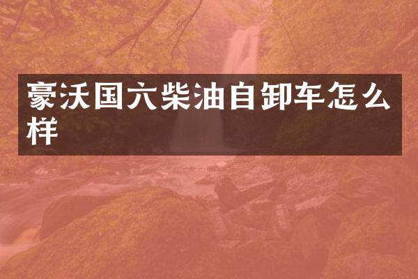 豪沃国六柴油自卸车怎么样