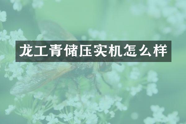 龙工青储压实机怎么样