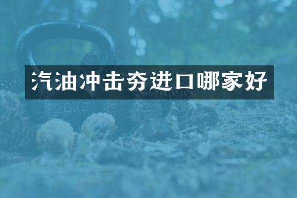 汽油冲击夯进口哪家好