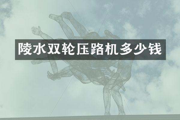 陵水双轮压路机多少钱