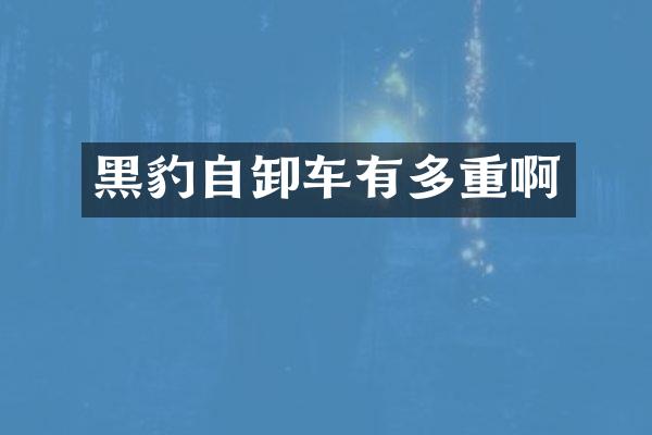 黑豹自卸车有多重啊