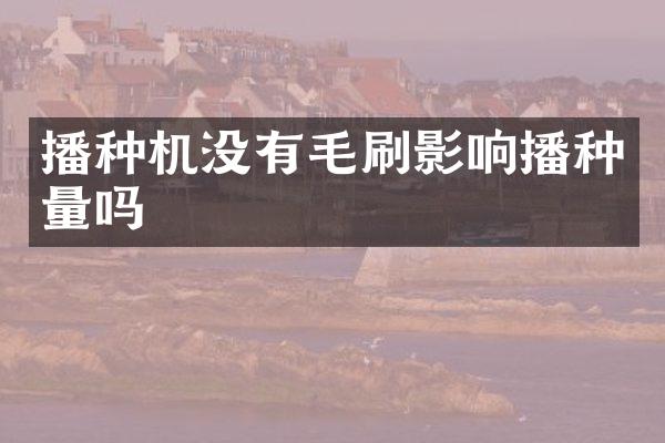 播种机没有毛刷影响播种量吗