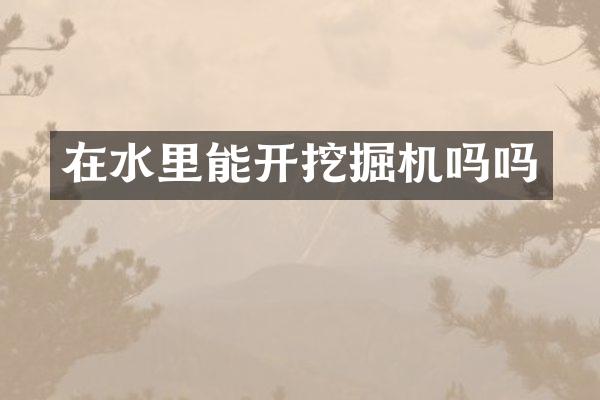 在水里能开挖掘机吗吗