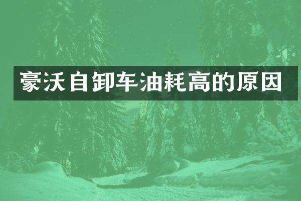 豪沃自卸车油耗高的原因