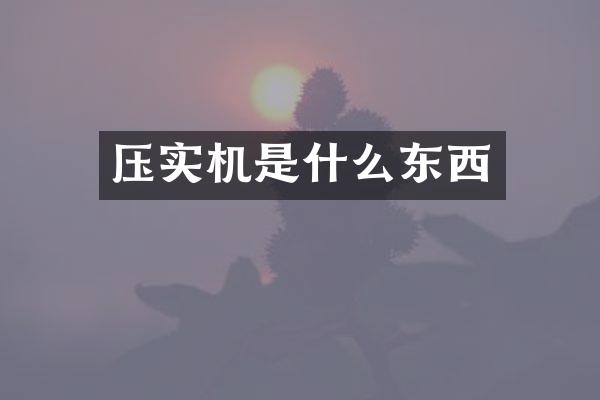 压实机是什么东西