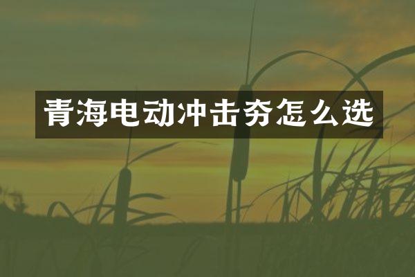 青海电动冲击夯怎么选