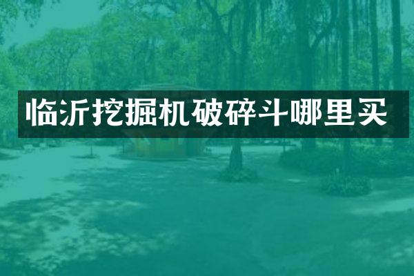 临沂挖掘机破碎斗哪里买
