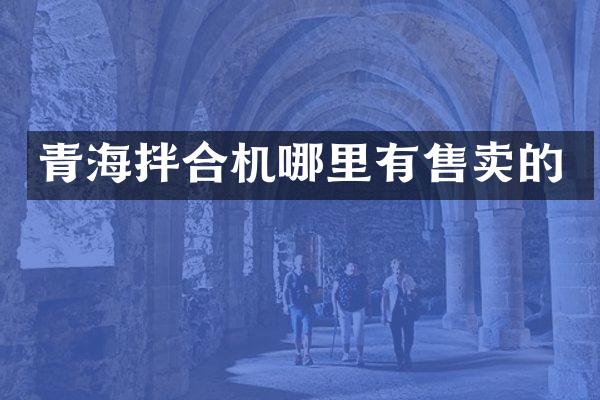 青海拌合机哪里有售卖的
