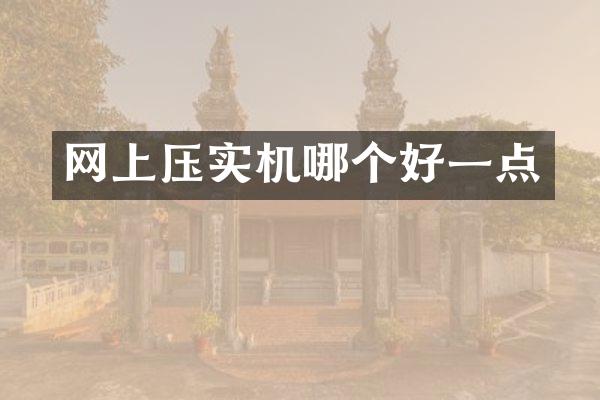 网上压实机哪个好一点