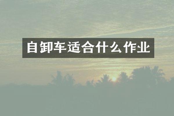 自卸车适合什么作业