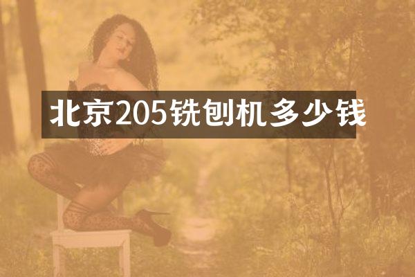北京205铣刨机多少钱