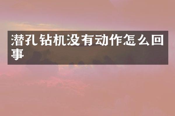 潜孔钻机没有动作怎么回事