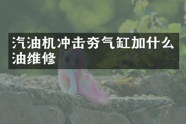 汽油机冲击夯气缸加什么油维修