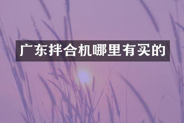 广东拌合机哪里有买的